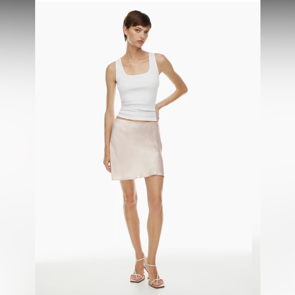 Babaton/Aritzia Slip Satin Mini Skirt